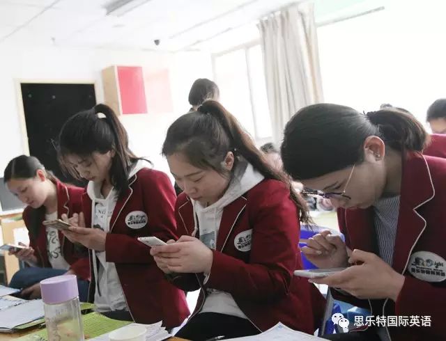 芝麻英语培训机构_广州学英文广州英语机构培训_英语 培训 机构