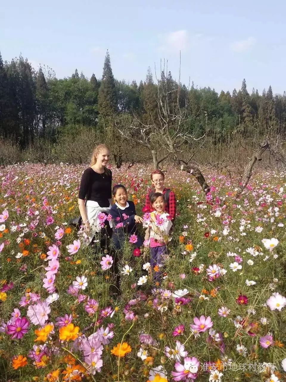 住家外教_住家外教与驻家外教_广州住家外教