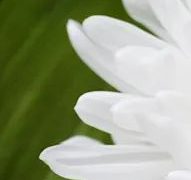 【专业分享】如何选择好的英语培训机构? 英语怎么样? 收费是多少?缩略图 【专业分享】如何选择好的英语培训机构? 英语怎么样? 收费是多少?缩略图