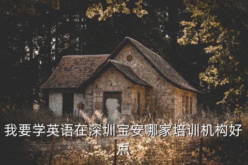 我要学英语在深圳宝安哪家培训机构好点