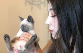 排列组合 英语缩略图