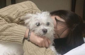 福州外教英语培训中心——开启全面英语学习之路(深圳外教英语培训)缩略图