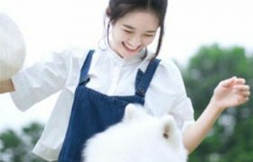 探究网上外教英语的价格差异及影响因素缩略图