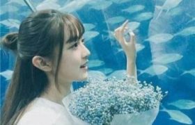 外教在线一对一口语辅导：提升英语口语能力的新途径缩略图