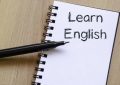 如何选择合适的英语职业外教培训课程及价格缩略图