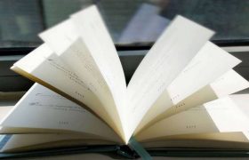 hellokid英语一对一辅导价格的全面解析缩略图