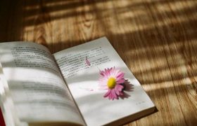 上海成人学英语机构排行榜前十名，助力你的英语提升之旅缩略图